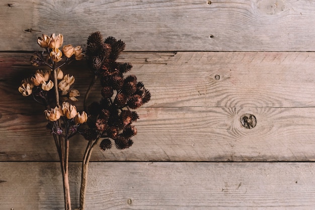 Photo gratuite fleurs sauvages sèches sur texture de bois