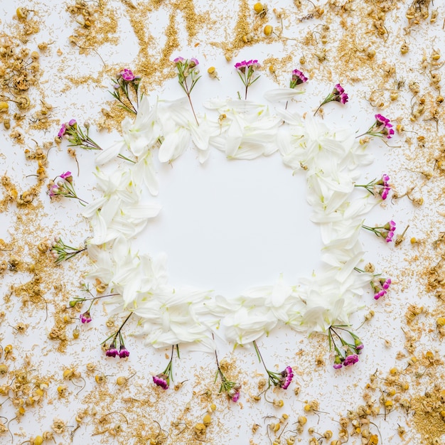 Photo gratuite fleurs séchées autour de la frontière florale