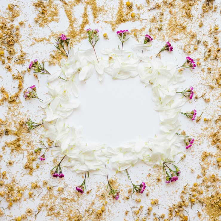 Photo gratuit fleurs séchées autour de la frontière florale