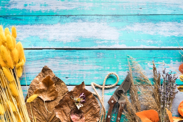 Photo gratuite fleurs séchées et feuilles sur la table