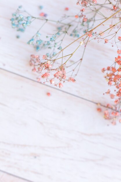 Fleurs sèches sur une surface en bois, mise au point sélective, humeur printanière