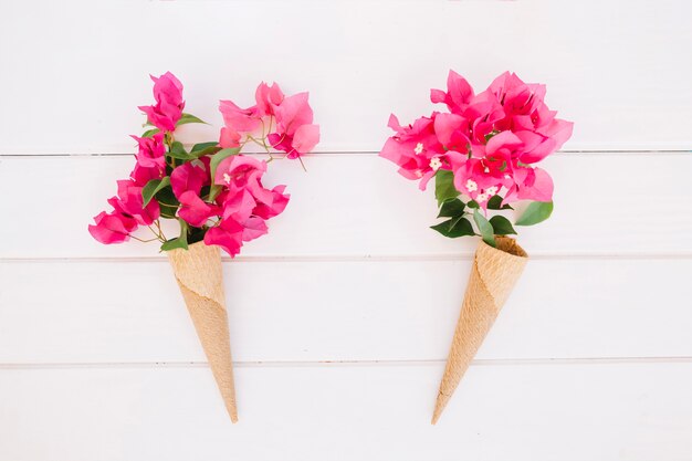 Fleurs tendres dans des cônes de gaufre