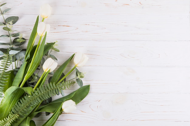 Fleurs de tulipes blanches avec des feuilles de fougère sur table