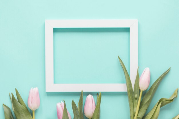 Fleurs de tulipes avec un cadre vide sur la table bleue