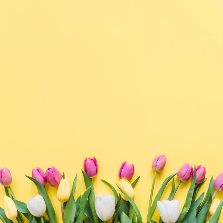 Photo gratuit fleurs de tulipes colorées décoratives sur un fond