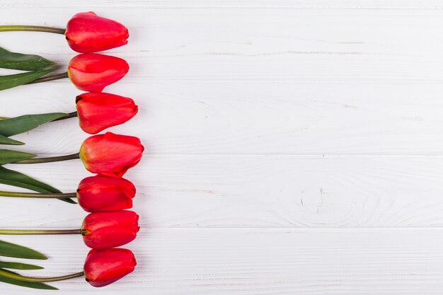 Fleurs de tulipes décoratives