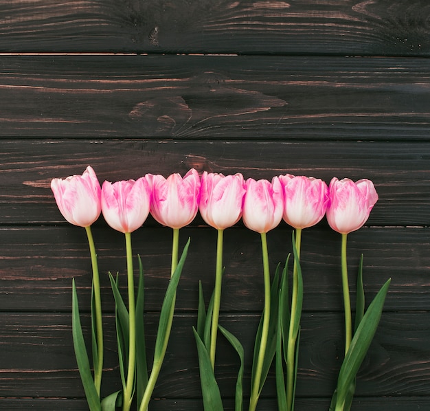 Fleurs de tulipes roses dispersées sur une table en bois