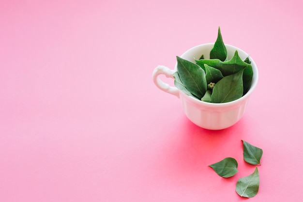 Fleurs vertes douces dans la tasse blanche