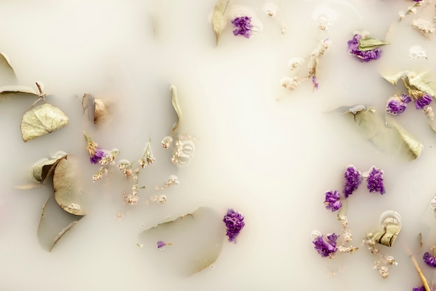 Photo gratuite fleurs violettes dans les eaux vives