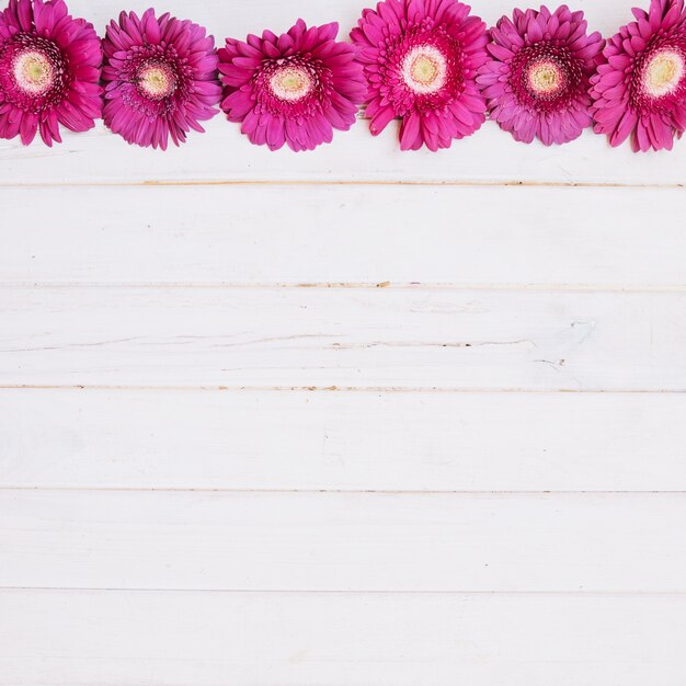 Fleurs violettes sur la table