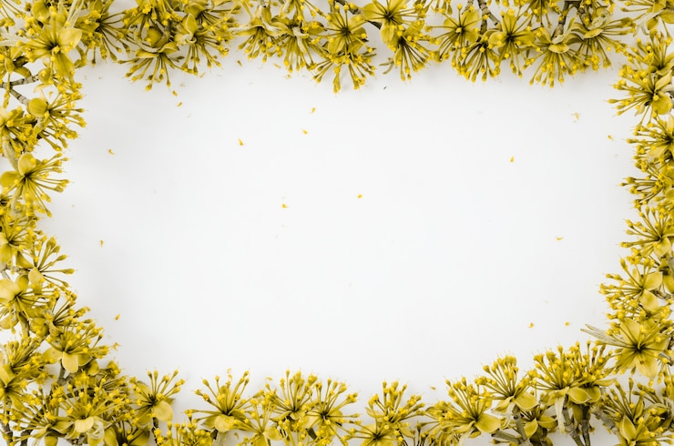 Photo gratuit floral décoratif