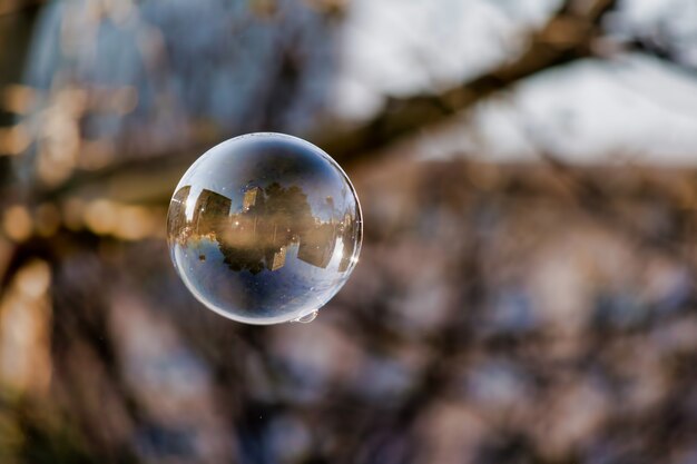 Flou artistique d'une bulle avec reflet des bâtiments de la ville et des arbres dessus