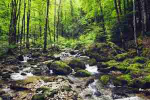 Photo gratuite flux à cascade du herisson en france