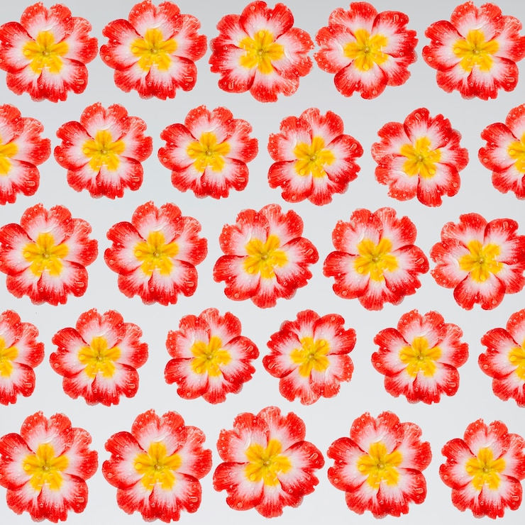 Photo gratuit fond de belles fleurs rouges