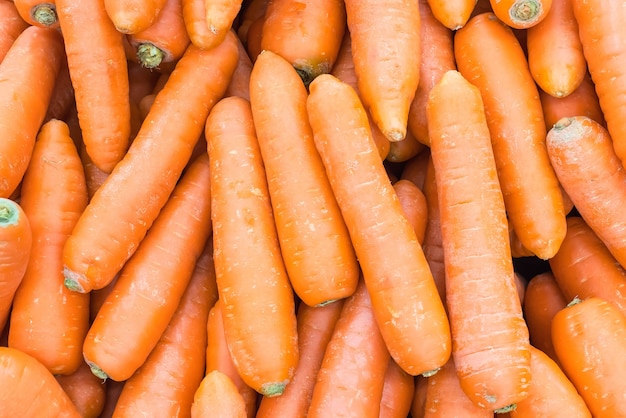 Fond de carottes