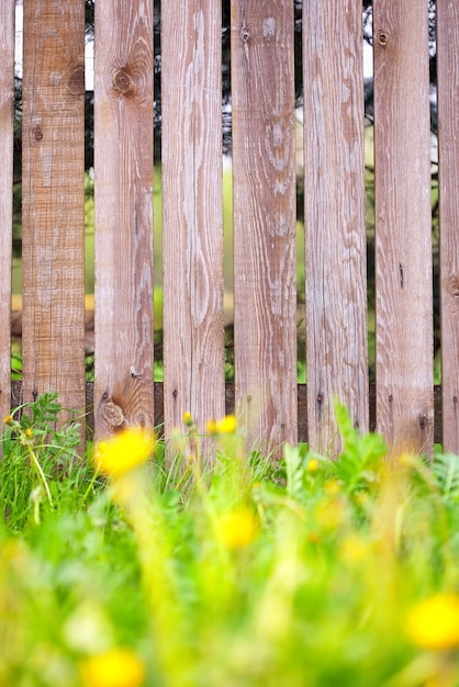 Fond de clôture en bois avec bordure d&#39;herbe