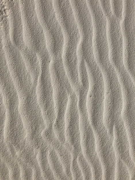fond du sable balayé par le vent dans le désert