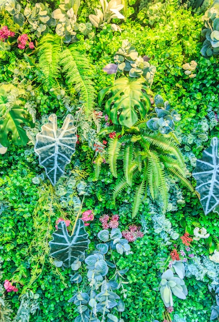 Fond d&#39;écran, atmosphère de parc, plante, belle herbe