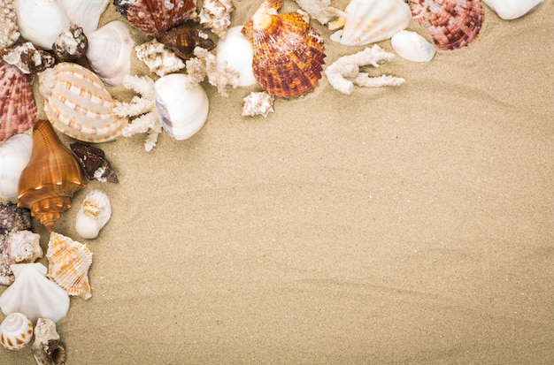 fond fantastique avec du sable et de coquillages