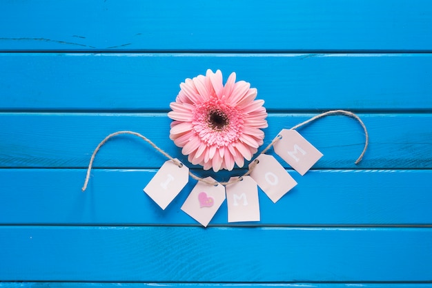 Fond de fête des mères bleues avec fleur