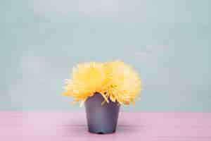 Photo gratuite fond avec des fleurs jaunes en pot