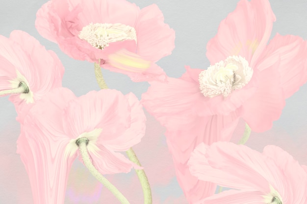 Fond floral, art psychédélique de pavot rose