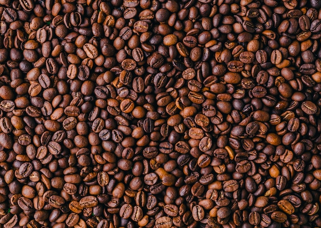 Images Grain De Cafe Vecteurs Photos Et Psd Gratuits Images Grain De Cafe Vecteurs Photos Et Psd Gratuits