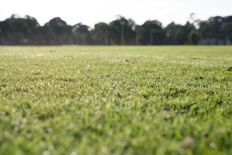 Photo gratuit fond d&#39;herbe verte