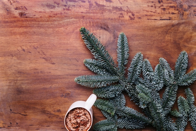 Fond d'hiver avec des branches de cacao et de sapin