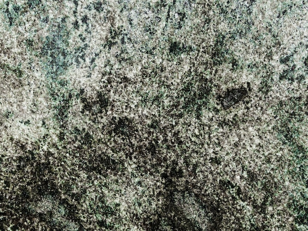 Fond de lichen poussant sur un rocher