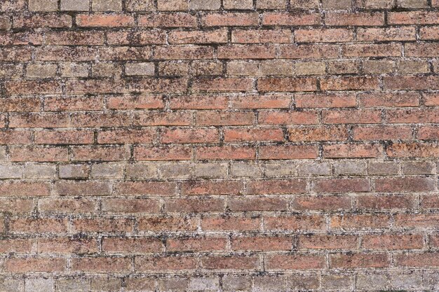 Fond de mur de brique marron. Fond de mur de brique