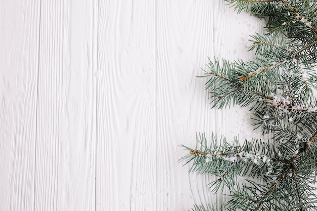 Fond de Noël avec des branches de sapin à droite