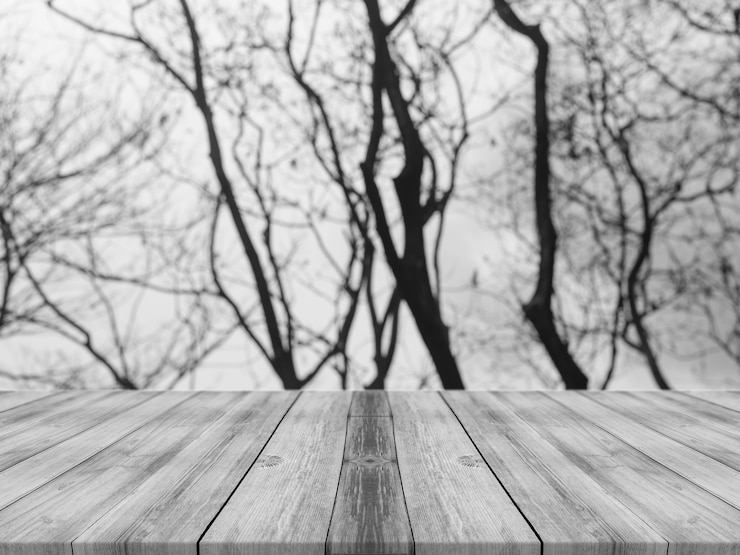 Photo gratuit fond noir et blanc avec des planches et des arbres