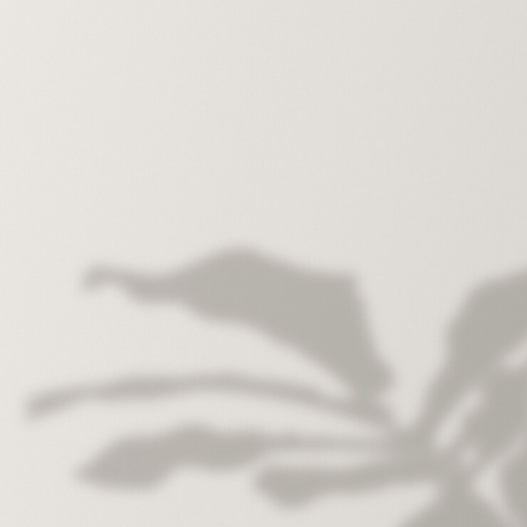 Photo gratuit fond avec l'ombre d'un arbre de monstera