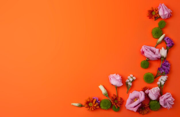 Fond orange avec de belles fleurs