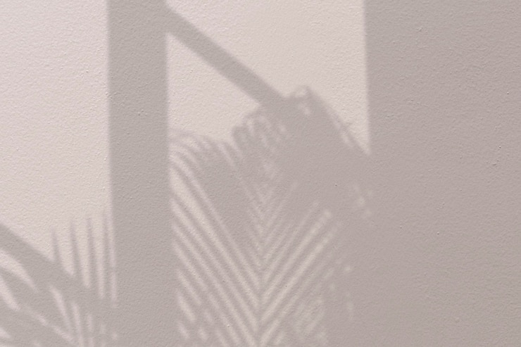 Photo gratuit fond avec palmier et ombre de fenêtre