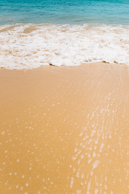 Fond de plage avec des vagues