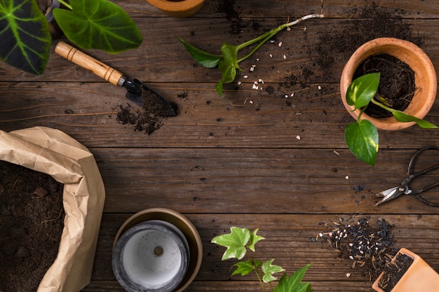 Photo gratuite fond de plante en bois avec les outils de jardinage pour passe-temps