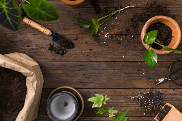 Fond de plante en bois avec les outils de jardinage pour passe-temps