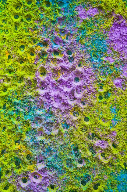 Fond de poudre de holi violet et vert avec motif