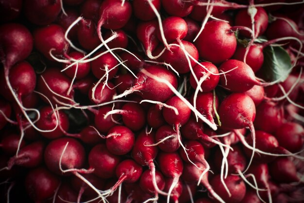 fond de radis mûrs rouges avec des racines blanches