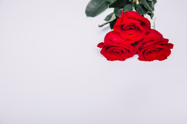 Photo gratuite fond avec des roses et de l'espace