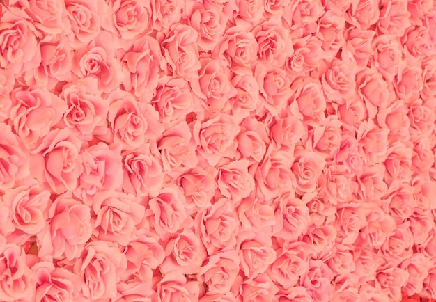 Fond de roses