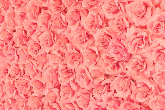 Fond de roses