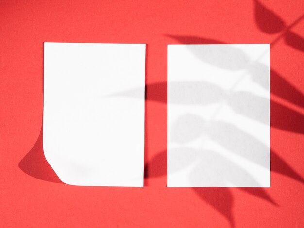 Fond rouge avec des papiers blancs et des ombres de feuilles