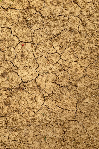 Fond d'une surface brune en béton avec des fissures