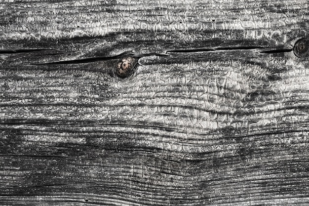 Fond de texture en bois gros plan extrême