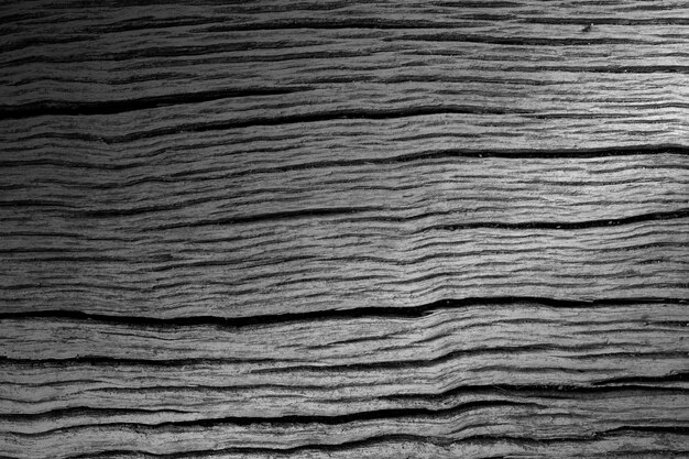 Fond texturé de planche de bois gris