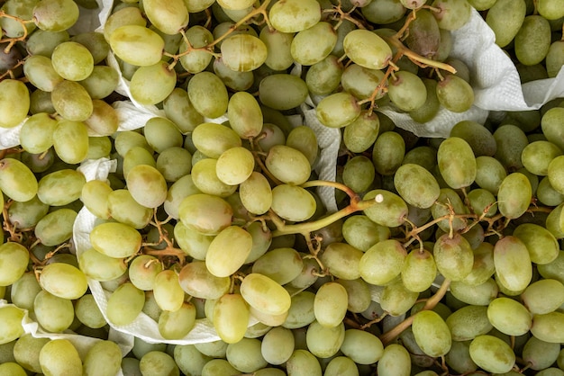 Fond ou texture de raisins verts.