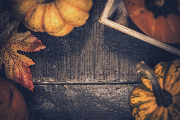Fond de thanksgiving avec fruits et légumes sur bois en automne et saison de récolte d'automne. copiez l'espace pour le texte.